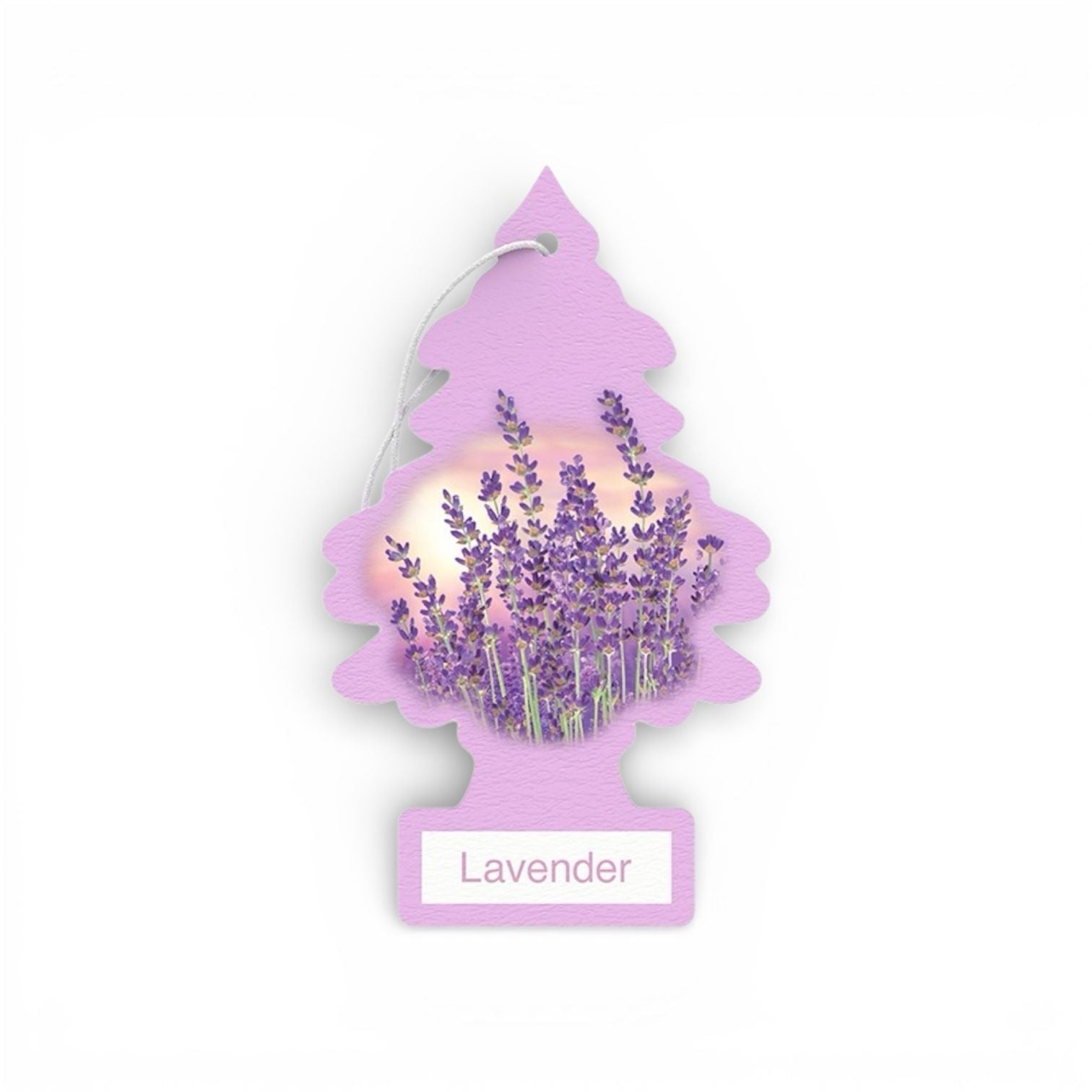 Lavender Trees