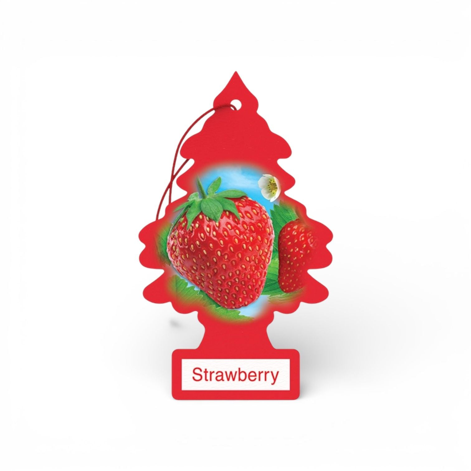 Strawberry Tree