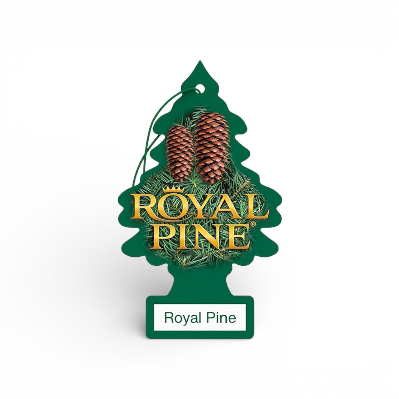 Royal Pine Tree